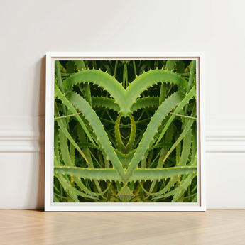 Framed Art Print Symmetrical Heart-shaped Composition Vibrant Green Humble Aloe Vera, Trippy, Botanical