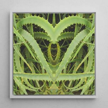 Spiked - Trippy Aloe Vera Botanical Art Print / Canvas Framed Square Symmetrical Heart-shaped Composition Vibrant Humble, Prints