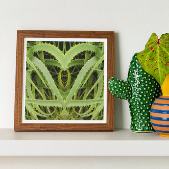 Spiked - Trippy Aloe Vera Botanical Art Print / Canvas Framed Symmetrical Green Leaf Pattern Humble, Prints