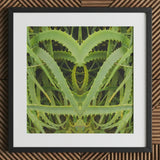 Spiked - Trippy Aloe Vera Botanical Art Print / Canvas Framed Symmetrical Heart-shaped Composition Vibrant Green Humble, Prints