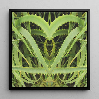 Spiked - Trippy Aloe Vera Botanical Art Print / Canvas Framed Symmetrical Kaleidoscopic Design Vibrant Green Humble, Prints