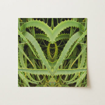 Spiked - Trippy Aloe Vera Botanical Art Print / Canvas Green Aloe Vera Leaf Art Print Symmetrical Heart Humble Vera, Trippy Botanical
