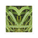 Spiked - Trippy Aloe Vera Botanical Art Print / Canvas, Humble Aloe Vera, Trippy Aloe Vera, Aloe Vera Botanical