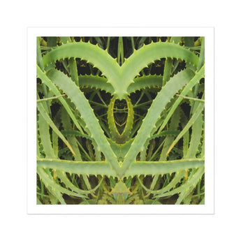 Spiked - Trippy Aloe Vera Botanical Art Print / Canvas, Humble Aloe Vera, Trippy Aloe Vera, Aloe Vera Botanical