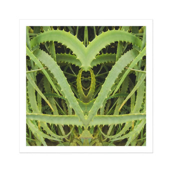 Spiked - Trippy Aloe Vera Botanical Art Print / Canvas Mirrored Aloe Vera Plant Leaves Heart-like Shape Humble Vera, Trippy Botanical