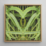 Spiked - Trippy Aloe Vera Botanical Art Print / Canvas Square-framed Artwork Symmetrical Mirrored Composition Vibrant Green Humble, Prints