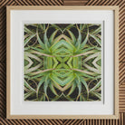 Spiked too - Trippy Aloe Vera Botanical Op Art Print, 12x12’’ / 31x31cm / Natural Frame / 2’’ Matboard, Framed Matted Print Symmetrical