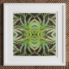 Spiked too - Trippy Aloe Vera Botanical Op Art Print, 12x12’’ / 31x31cm / White Frame / 2’’ Matboard, Framed Abstract Artwork Green Aloe