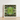Framed Artwork Symmetrical Kaleidoscopic Pattern Green Succulent Leaves Morphs Aloe Vera, Verdant Rorschach Test, Trippy