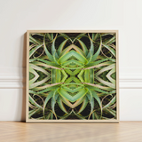 Framed Artwork Symmetrical Kaleidoscopic Pattern Green Succulent Leaves Morphs Aloe Vera, Verdant Rorschach Test, Trippy