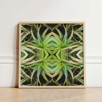 Framed Artwork Symmetrical Kaleidoscopic Pattern Green Succulent Leaves Morphs Aloe Vera, Verdant Rorschach Test, Trippy