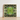 Framed Artwork Symmetrical Kaleidoscopic Pattern Green Succulent Leaves Morphs Aloe Vera, Verdant Rorschach Test, Trippy