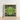 Square-framed Artwork Symmetrical Kaleidoscopic Pattern Green Succulent Leaves Morphs Aloe Vera, Verdant Rorschach Test, Trippy