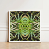 Framed Artwork Symmetrical Kaleidoscopic Pattern Green Succulent Leaves Morphs Aloe Vera, Verdant Rorschach Test, Trippy