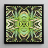 Spiked too - Trippy Aloe Vera Botanical Op Art Print / Canvas Black-framed Square Symmetrical Kaleidoscopic Design Green Morphs, Verdant