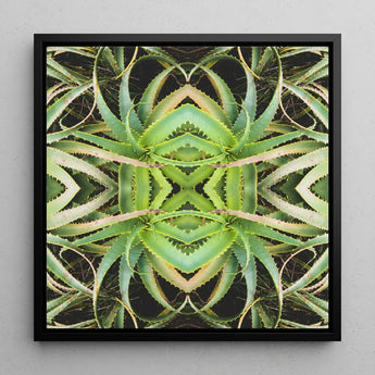 Spiked too - Trippy Aloe Vera Botanical Op Art Print / Canvas Black-framed Square Symmetrical Kaleidoscopic Design Green Morphs, Verdant
