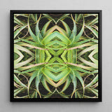 Spiked too - Trippy Aloe Vera Botanical Op Art Print / Canvas Black-framed Square Symmetrical Kaleidoscopic Design Green Morphs, Verdant