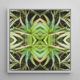 Spiked too - Trippy Aloe Vera Botanical Op Art Print / Canvas Framed Square Artwork Symmetrical Kaleidoscopic Pattern Green Succulent