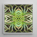 Spiked too - Trippy Aloe Vera Botanical Op Art Print / Canvas Framed Square Artwork Symmetrical Kaleidoscopic Pattern Green Succulent