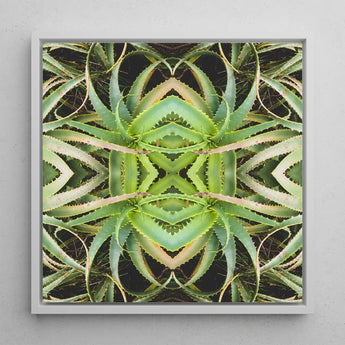 Spiked too - Trippy Aloe Vera Botanical Op Art Print / Canvas Framed Square Artwork Symmetrical Kaleidoscopic Pattern Green Succulent