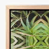 Framed Canvas Print Symmetrical Kaleidoscopic Pattern Green Succulent Morphs Aloe Vera, Verdant Rorschach Test, Trippy