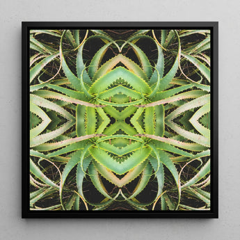 Spiked too - Trippy Aloe Vera Botanical Op Art Print / Canvas, Morphs Aloe Vera, Verdant Rorschach Test, Trippy Aloe Vera