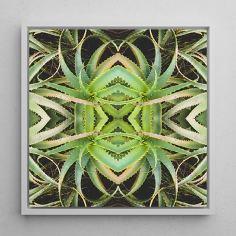 Spiked too - Trippy Aloe Vera Botanical Op Art Print / Canvas, Morphs Aloe Vera, Verdant Rorschach Test, Trippy Aloe Vera