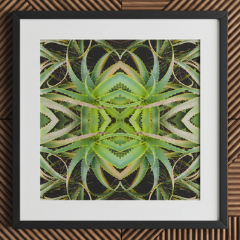 Spiked too - Trippy Aloe Vera Botanical Op Art Print / Canvas, Morphs Aloe Vera, Verdant Rorschach Test, Trippy Aloe Vera