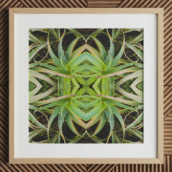 Spiked too - Trippy Aloe Vera Botanical Op Art Print / Canvas, Morphs Aloe Vera, Verdant Rorschach Test, Trippy Aloe Vera