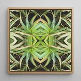 Spiked too - Trippy Aloe Vera Botanical Op Art Print / Canvas, Morphs Aloe Vera, Verdant Rorschach Test, Trippy Aloe Vera