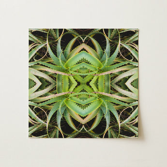 Spiked too - Trippy Aloe Vera Botanical Op Art Print / Canvas, Morphs Aloe Vera, Verdant Rorschach Test, Trippy Aloe Vera