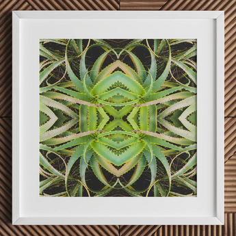 Spiked too - Trippy Aloe Vera Botanical Op Art Print / Canvas, Morphs Aloe Vera, Verdant Rorschach Test, Trippy Aloe Vera