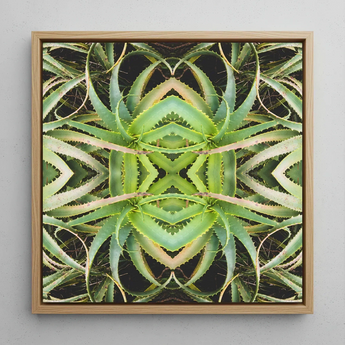 Spiked too - Trippy Aloe Vera Botanical Op Art Print / Canvas Square-framed Artwork Symmetrical Kaleidoscopic Pattern Green Succulent