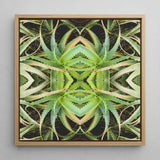Spiked too - Trippy Aloe Vera Botanical Op Art Print / Canvas Square-framed Artwork Symmetrical Kaleidoscopic Pattern Green Succulent