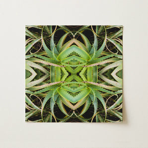 Spiked too - Trippy Aloe Vera Botanical Op Art Print / Canvas Square Symmetrical Kaleidoscopic Pattern Green Succulent Morphs, Verdant
