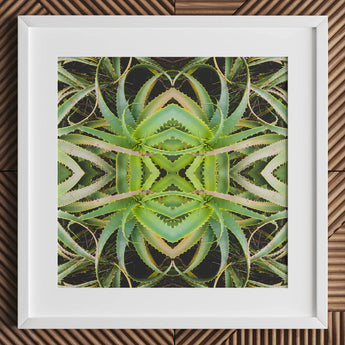 Spiked too - Trippy Aloe Vera Botanical Op Art Print / Canvas White-framed Square Symmetrical Kaleidoscopic Pattern Green Morphs, Verdant