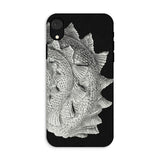 Spiral Shell - Custodia grafica per iPhone con vita marina di Ernst Haeckel, Xr / Opaca, Custodie per telefoni cellulari, Toby Leon