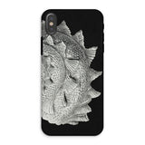 Spiral Shell - Ernst Haeckel Sea Life Graphic Phone Case Iphone Xs / Matte Textured Fish-scale Phone Case Ernst Haeckel Sea, Sea Life, Life