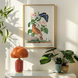 Spotted Flycatcher Purple Emperor and Longhorned Beetle - James Bolton Art Print / Canvas Framed Botanical Illustration Bird Flowers,