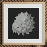 Star Shell - Stampa artistica di vita oceanica di Ernst Haeckel / Canvas, 12x12’’ / 31x31cm / Cornice naturale / Passepartout, Posters Prints & Visual Artwork,