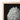 Star Shell - Ernst Haeckel Ocean Life Art Print / Canvas Detailed Textured Gray Seashell Sculpture Light Wood Frame
