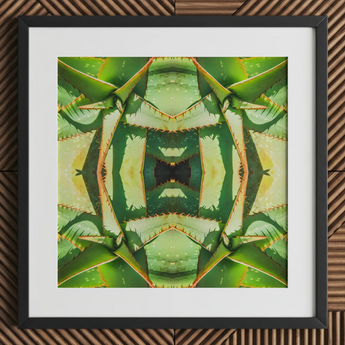 Starry-eyed - Impression d’art optique psychédélique de succulente sur toile / 12x12’’ / 31x31cm / Cadre noir / Passe-partout, Posters Prints & Visual Artwork, Toby Leon
