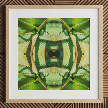 Starry-eyed - Impression d’art optique psychédélique de succulente sur toile / 12x12’’ / 31x31cm / Cadre naturel / Passe-partout, Posters Prints & Visual Artwork, Toby