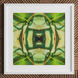 Starry-eyed - Impression d’art optique psychédélique de succulente sur toile / 12x12’’ / 31x31cm / Cadre blanc / Passe-partout, Posters Prints & Visual Artwork, Toby Leon