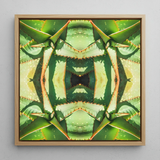 Starry-eyed - Trippy Succulent Op Art Print / Canvas, 12x12’’ / 31x31cm / Natural Frame, Posters Prints & Visual Artwork, Toby Leon