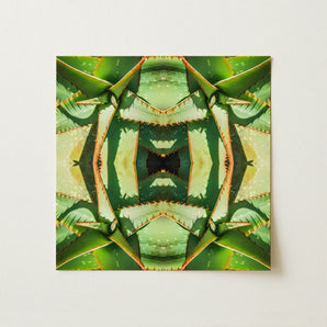 Starry-eyed - Trippy Succulent Op Art Print / Canvas, Succulent Op Art, Enhanced Matte Fine, Trippy Succulent