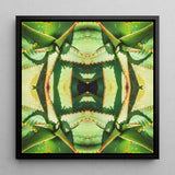 Starry-eyed - Trippy Succulent Op Art Print / Canvas Black-framed Square Symmetrical Kaleidoscopic Design Green, Enhanced Matte Fine, Prints