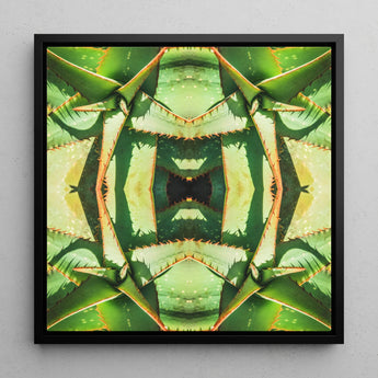 Starry-eyed - Trippy Succulent Op Art Print / Canvas Black-framed Square Symmetrical Kaleidoscopic Design Green, Enhanced Matte Fine, Prints