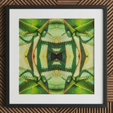 Starry-eyed - Trippy Succulent Op Art Print / Canvas Framed Abstract Botanical Symmetrical Kaleidoscopic Pattern Green, Enhanced Matte