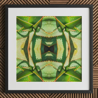 Starry-eyed - Trippy Succulent Op Art Print / Canvas Framed Abstract Botanical Symmetrical Kaleidoscopic Pattern Green, Enhanced Matte